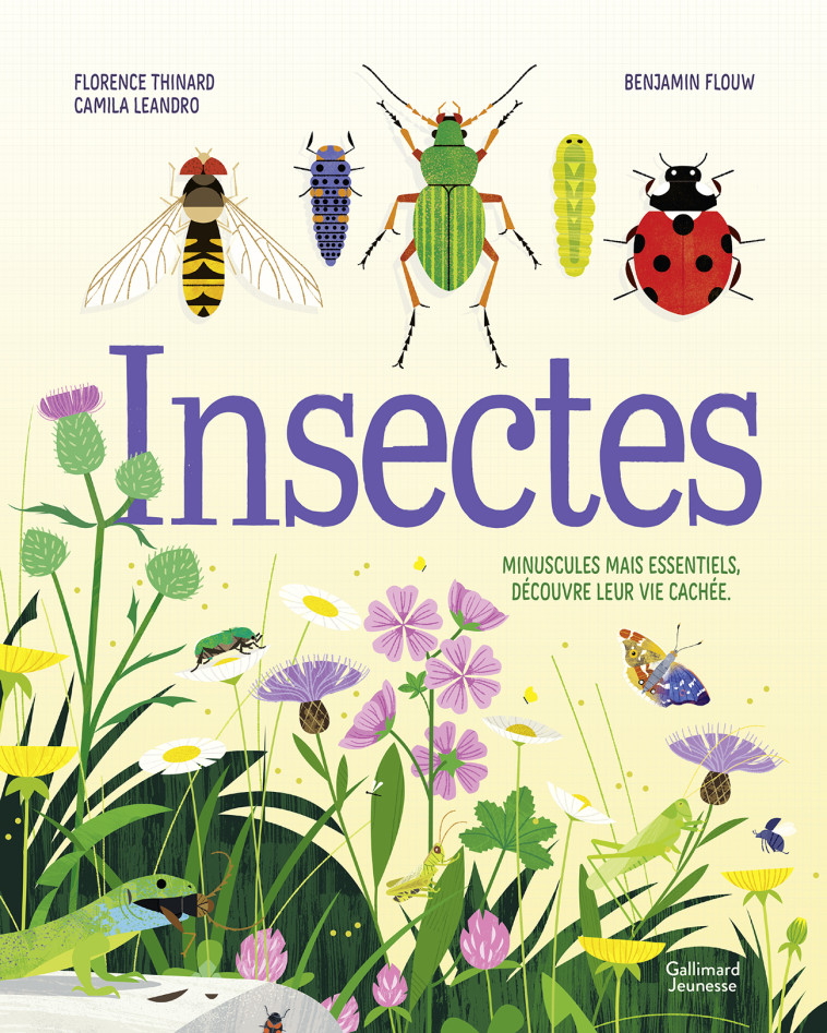 Insectes - Camila Leandro, Florence Thinard, Benjamin Flouw - GALLIMARD JEUNE