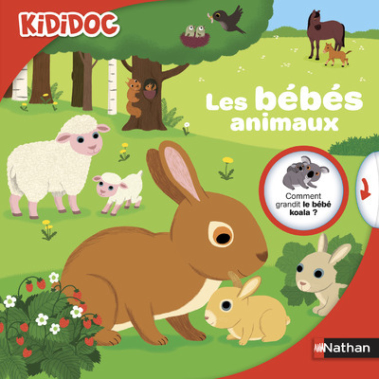 Les Bébés animaux - Sylvie Baussier, France Cottin, Nathalie Choux - NATHAN