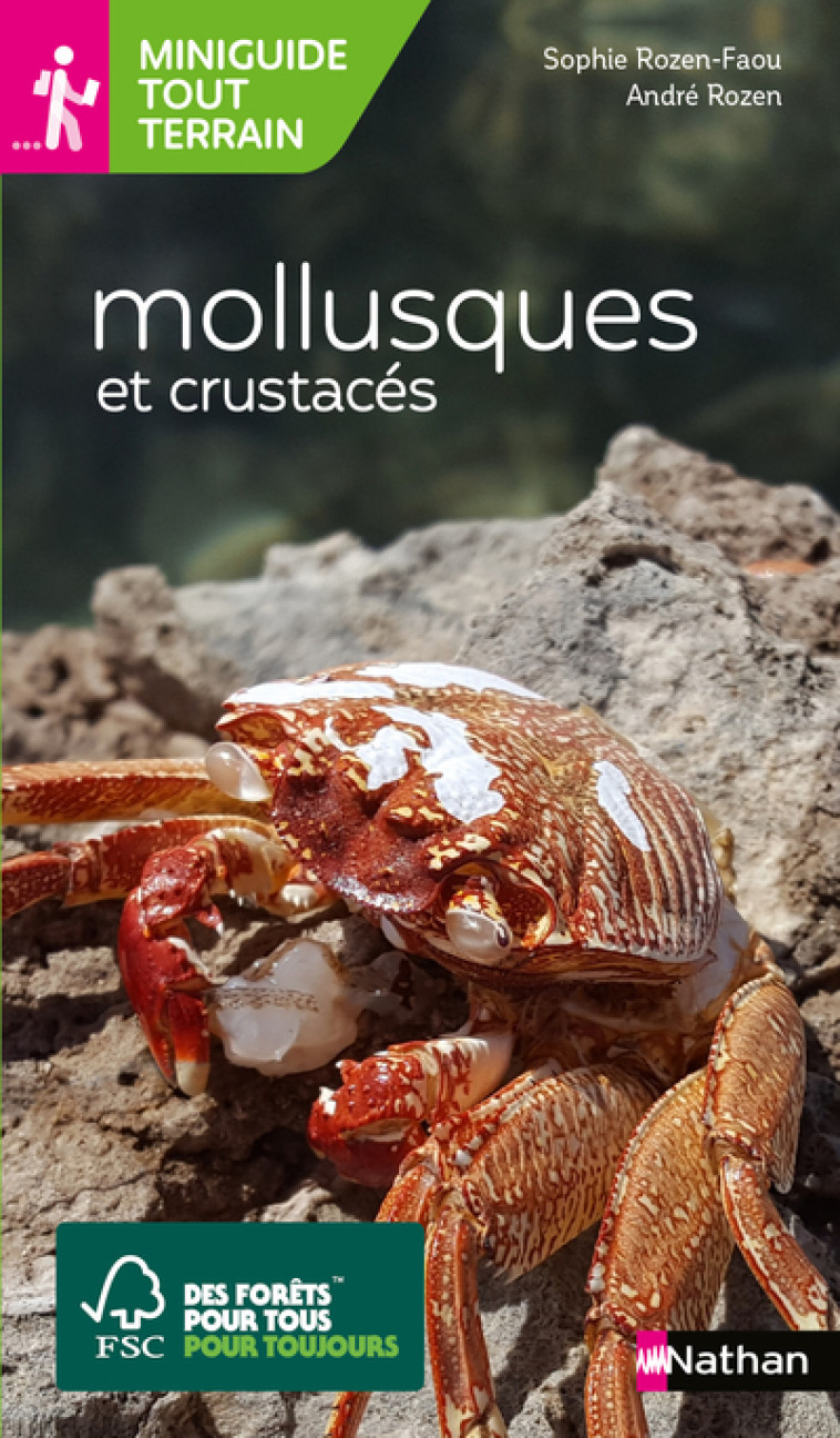 Miniguides tout-terrain : Mollusques et crustacés - Sophie Rozen-Faou, André Rozen - NATHAN