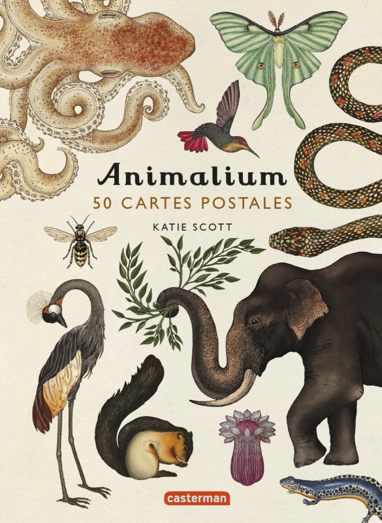 Animalium - Katie Scott - CASTERMAN