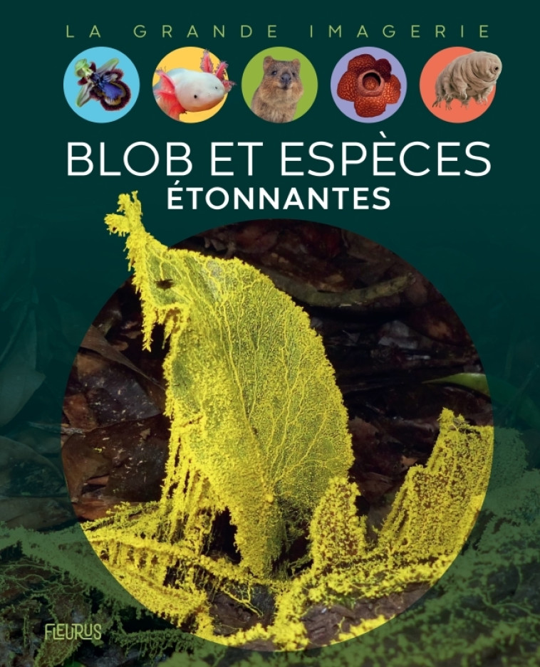 Blob et espèces étonnantes - Manon Ternois - FLEURUS