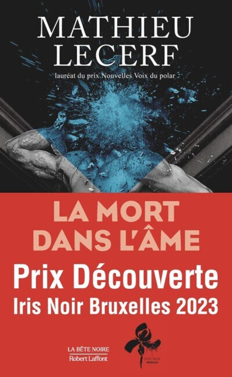 La Mort dans l'âme - Mathieu Lecerf - ROBERT LAFFONT