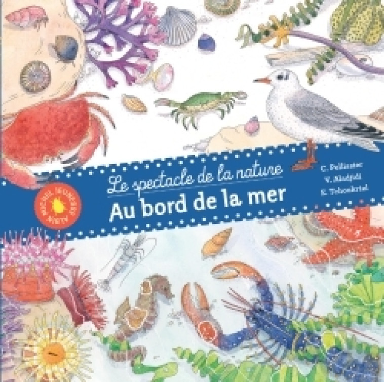 Au bord de la mer - Virginie Aladjidi, Emmanuelle Tchoukriel - ALBIN MICHEL