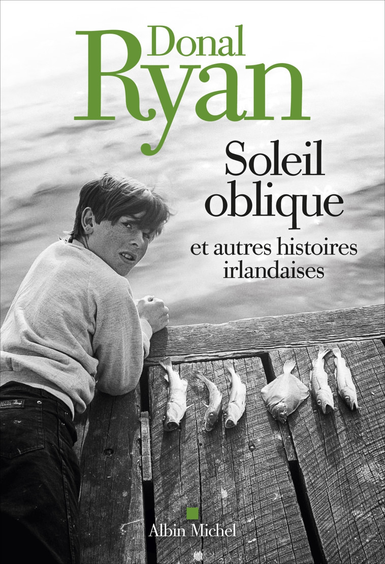 Soleil oblique et autres histoires irlandaises - Donal Ryan, Marie Hermet - ALBIN MICHEL