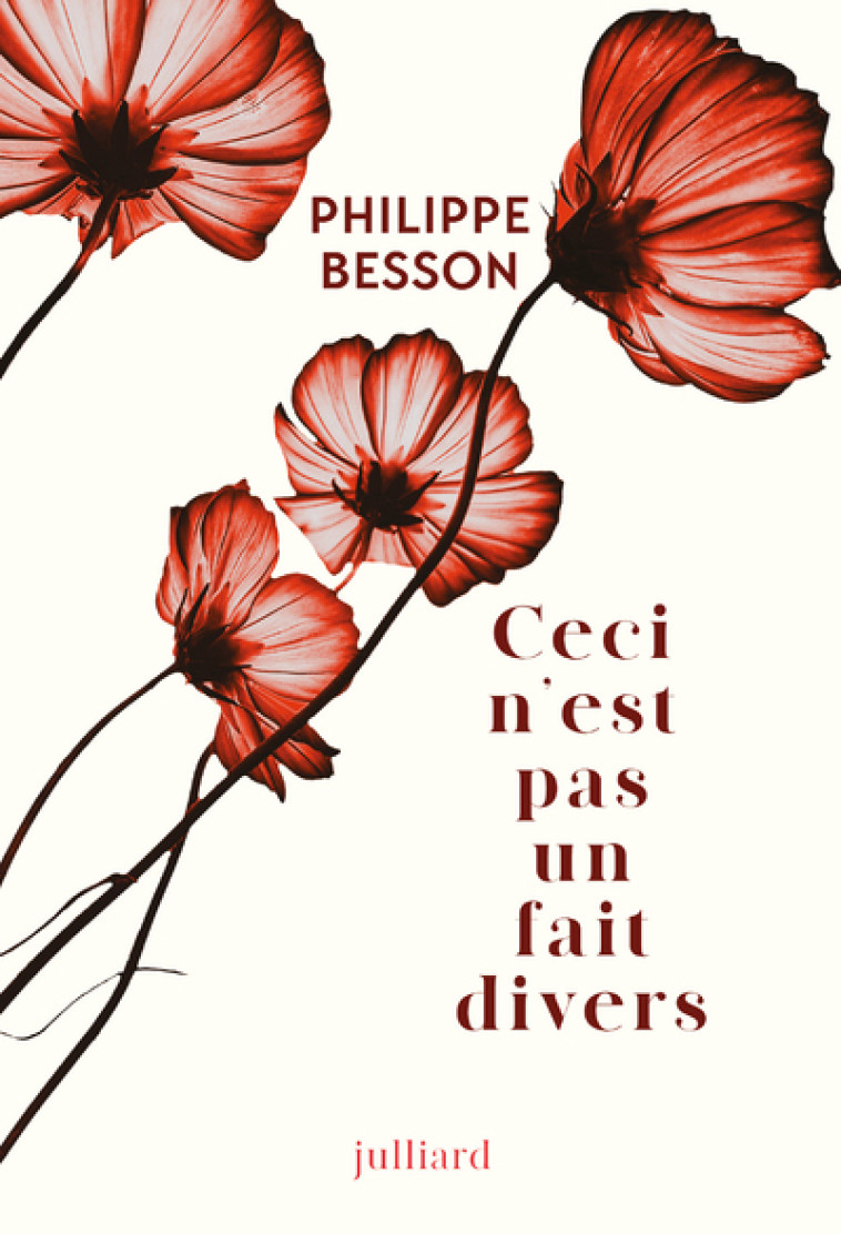 Ceci n'est pas un fait divers - Philippe Besson - JULLIARD