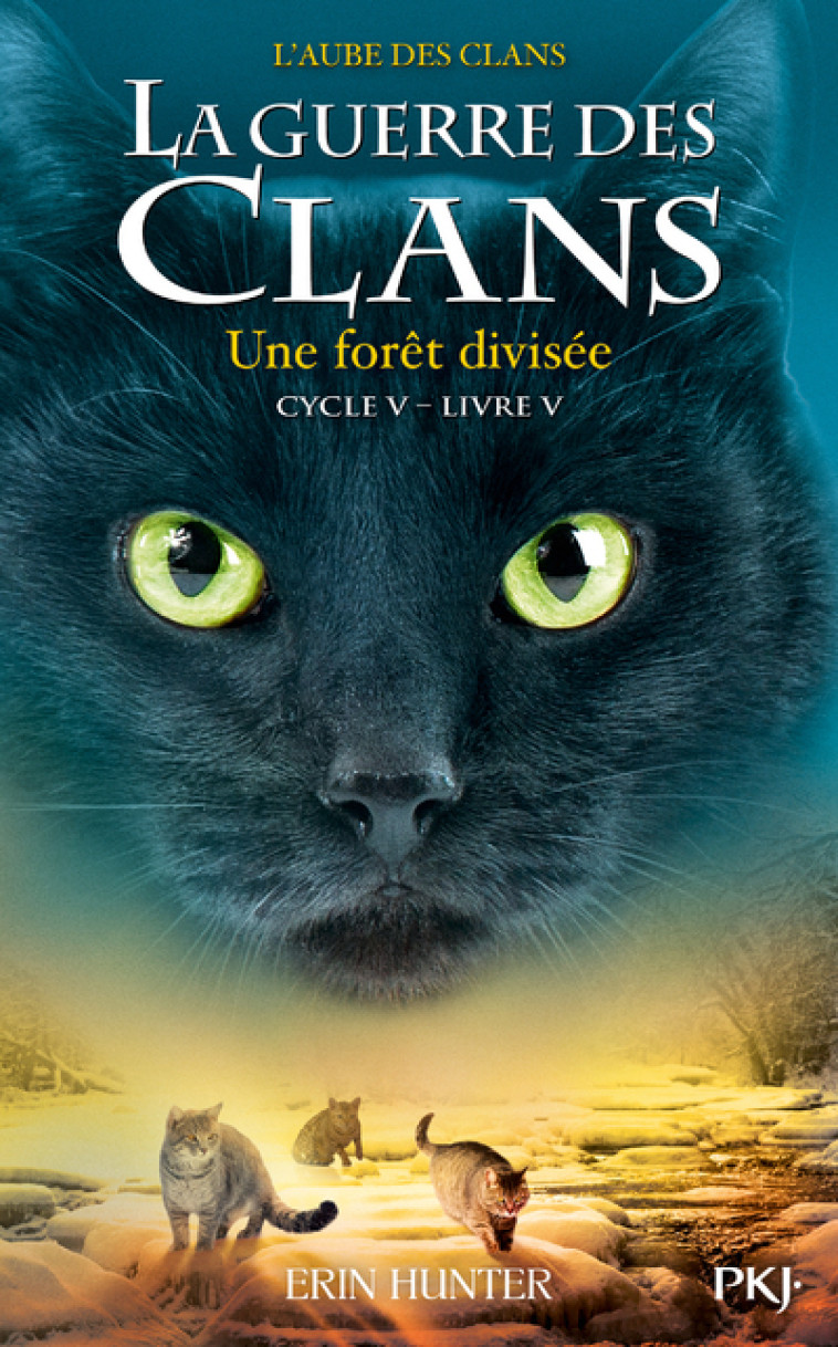 La guerre des Clans - Cycle V L'aube des clans - tome 5 Une forêt divisée - Erin Hunter, Aude Carlier - POCKET JEUNESSE