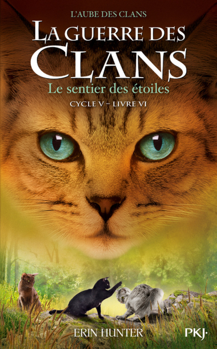 La guerre des Clans - Cycle V L'aube des clans - tome 6 Le sentier des étoiles - Erin Hunter, Aude Carlier - POCKET JEUNESSE