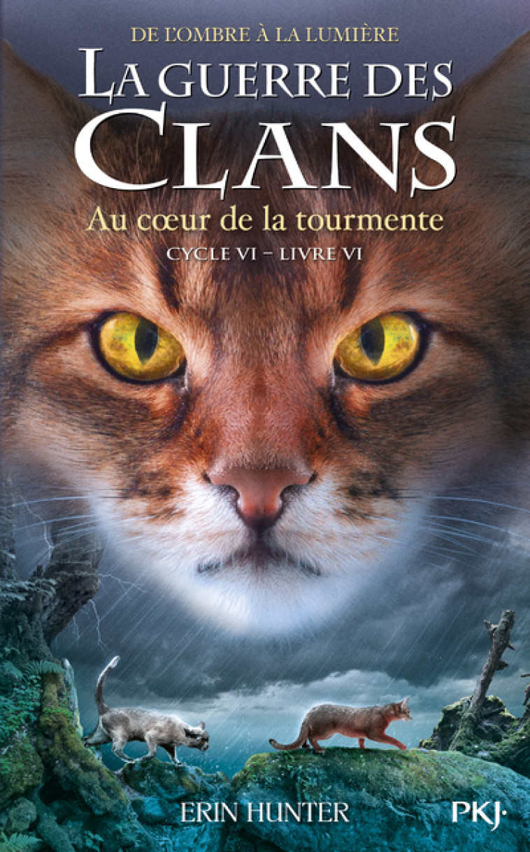 La guerre des clans, Cycle VI - Tome 6 Au coeur de la tourmente - Erin Hunter, Aude Carlier - POCKET JEUNESSE