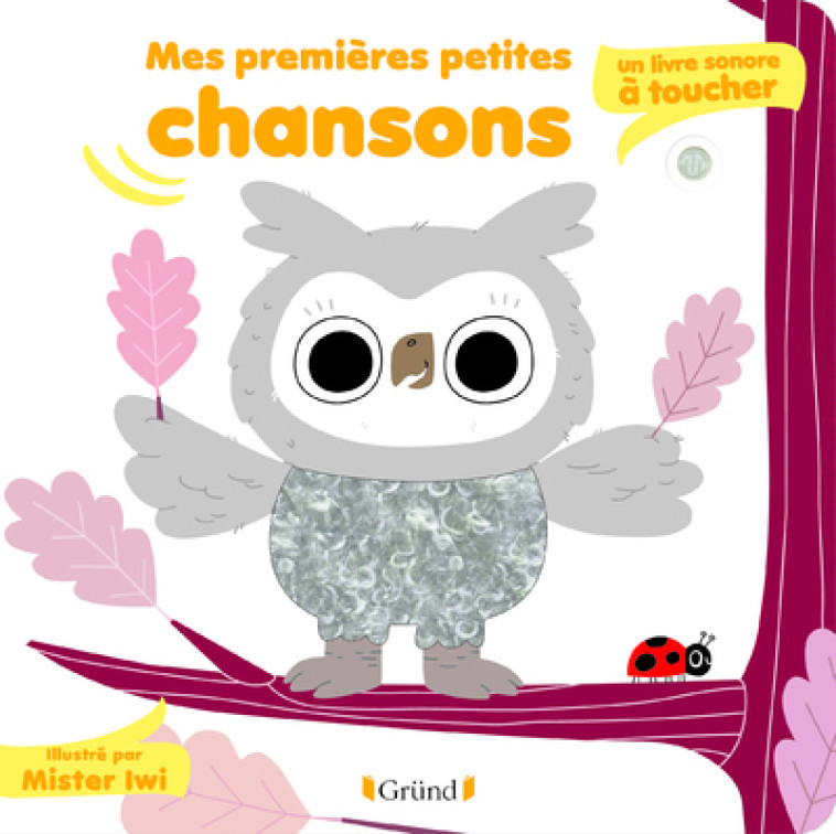 Mes premières petites chansons : un livre sonore à toucher - Mr. Iwi Mr. Iwi,  Mr. Iwi - GRUND