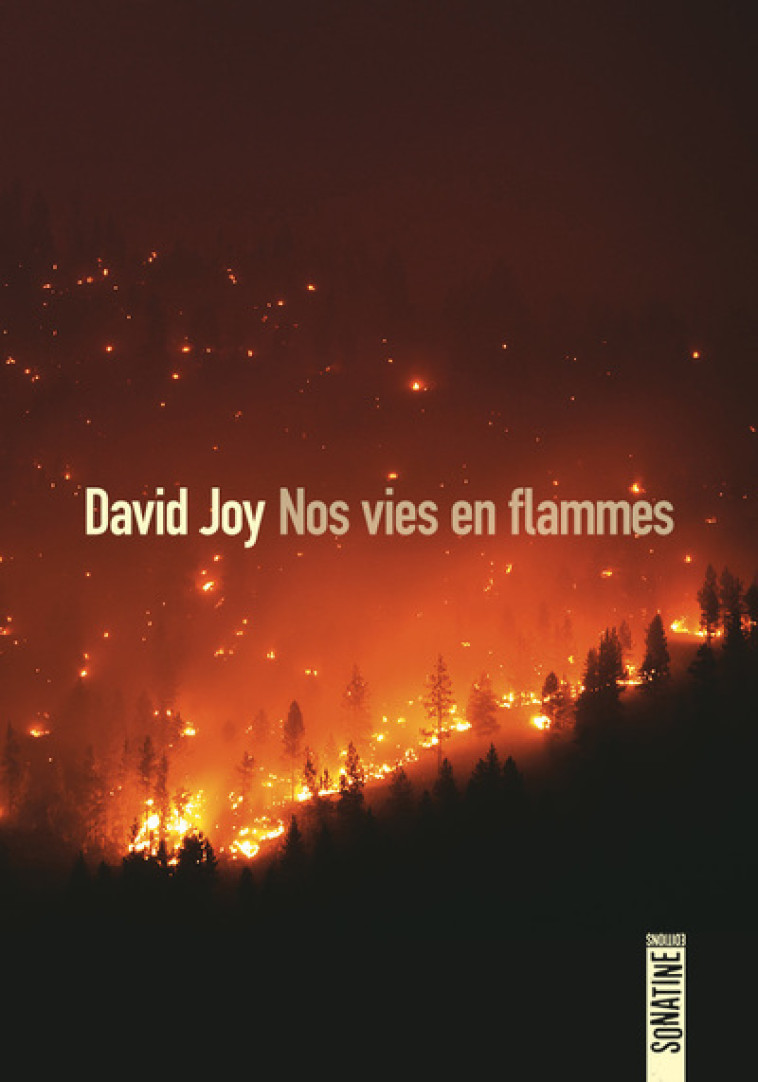 Nos vies en flammes - David Joy, Fabrice Pointeau - SONATINE