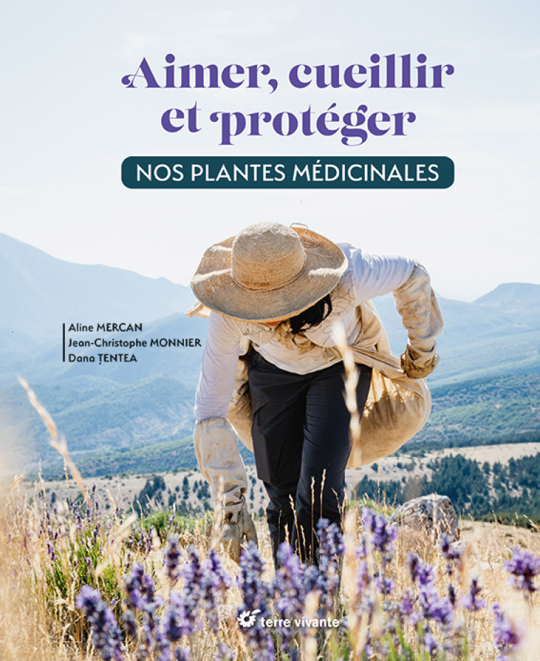 Aimer, cueillir et protéger nos plantes médicinales - Aline Mercan, Jean-Christophe Monnier, Dana Tentea - TERRE VIVANTE