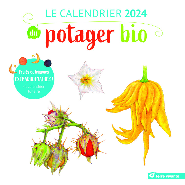 Le calendrier 2024 du potager bio - Mathilde MAGNAN - TERRE VIVANTE