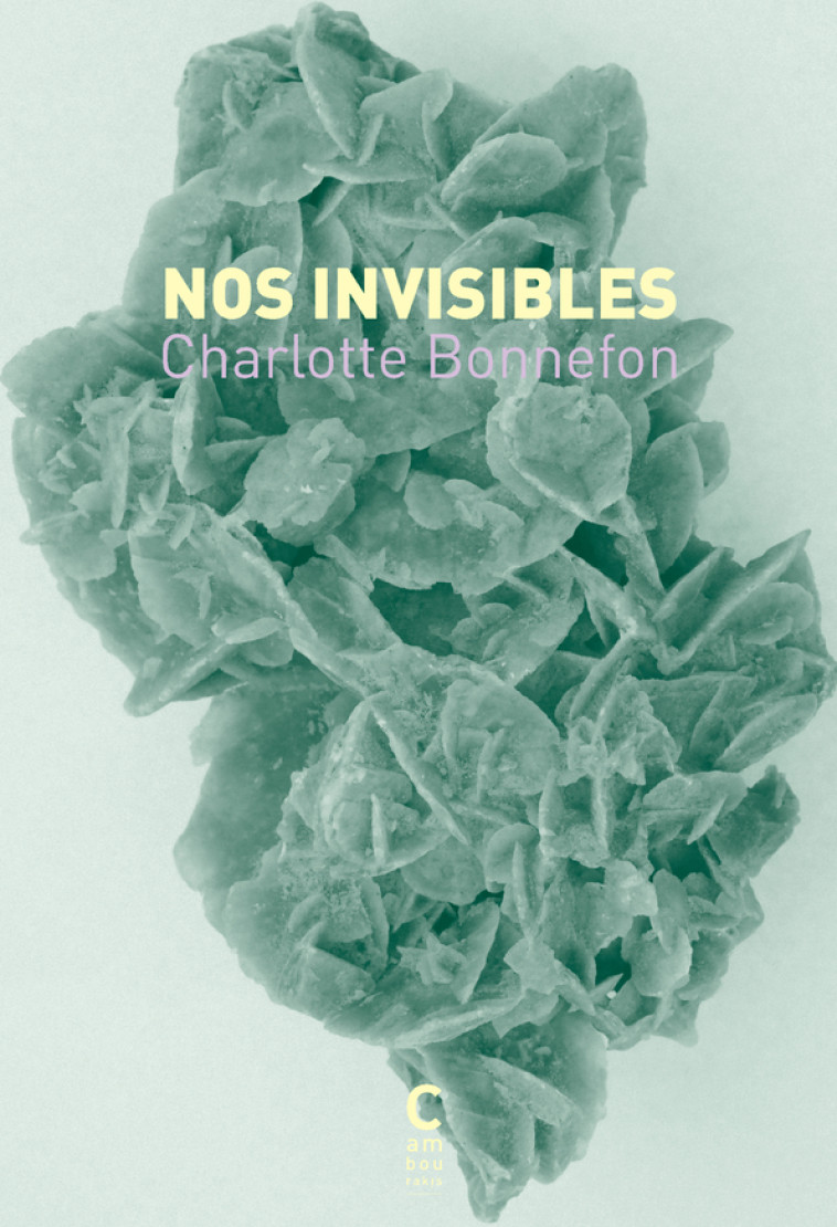 Nos invisibles - Charlotte Bonnefon - CAMBOURAKIS