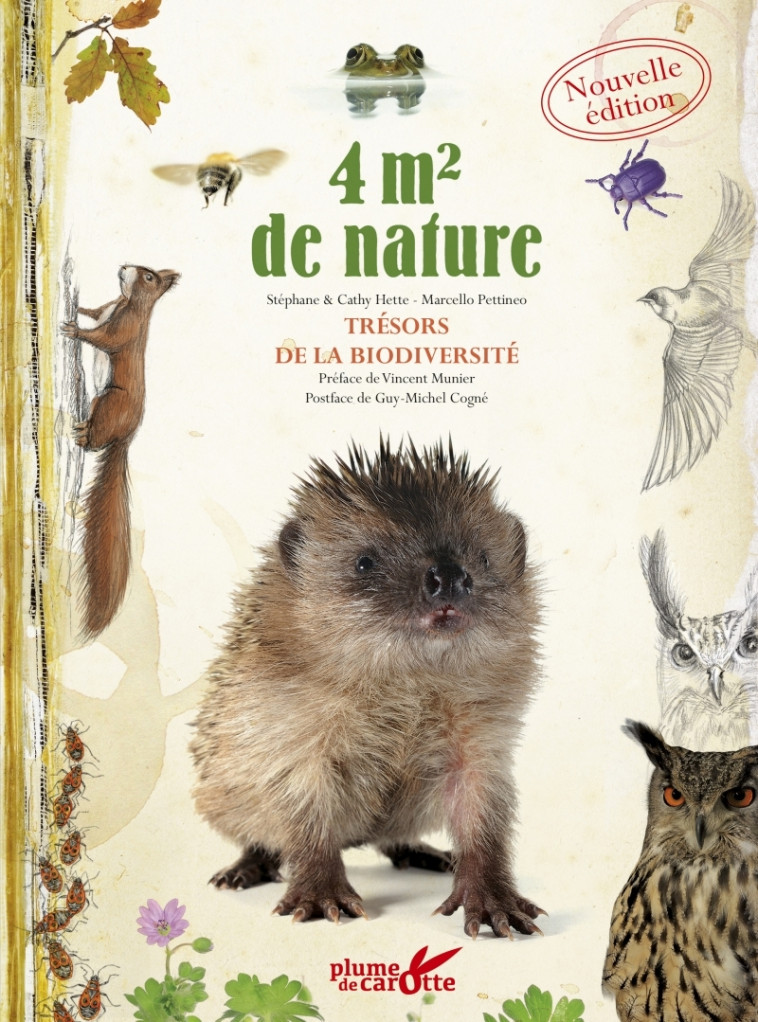 4 m2 de nature - Trésors de la biodiversité - Stéphane HETTE, Marcello PETTINEO - PLUME CAROTTE