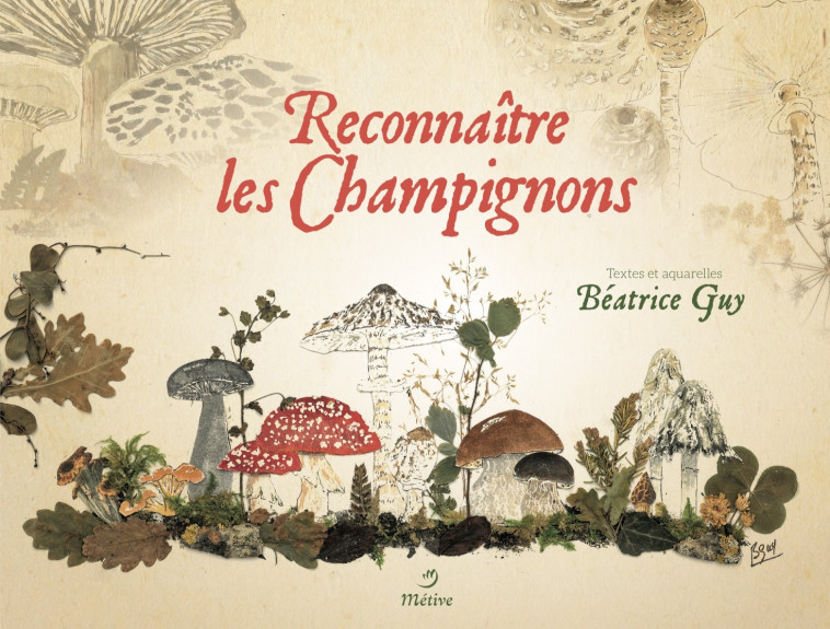 Reconnaître les champignons - Béatrice Guy - METIVE