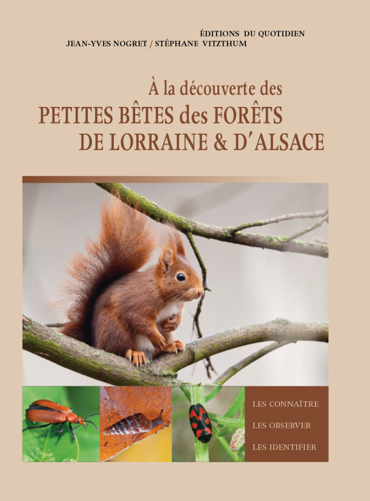 A LA DECOUVERTE DES PETITES BETES DES FORETS DE LORRAINE ET D'ALSACE - NOGRET ET VITZTHUM - DU QUOTIDIEN