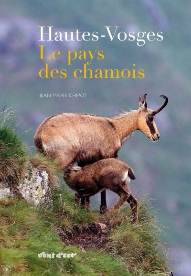 HAUTES-VOSGES LE PAYS DES CHAMOIS - JEAN-MARIE CHIPOT - VENT D EST