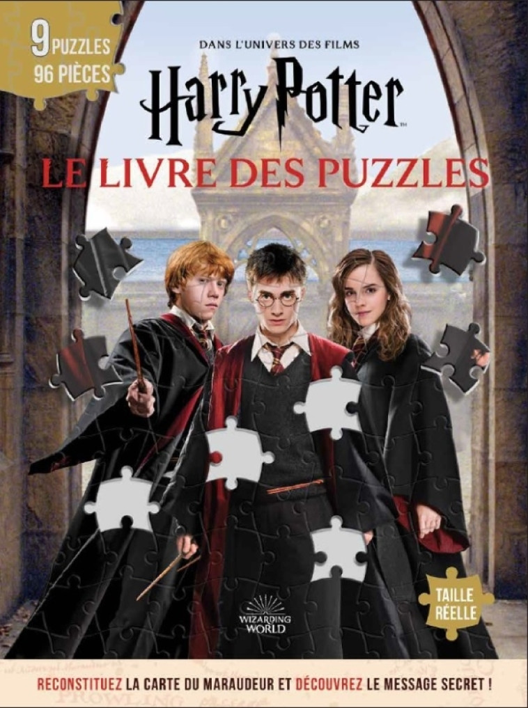 Harry Potter, le Livre des puzzles - XXX - QILINN