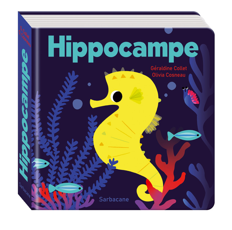 Hippocampe - Géraldine Collet, Olivia Cosneau - SARBACANE