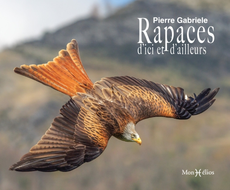 Rapaces - Pierre Gabriele - MONHELIOS