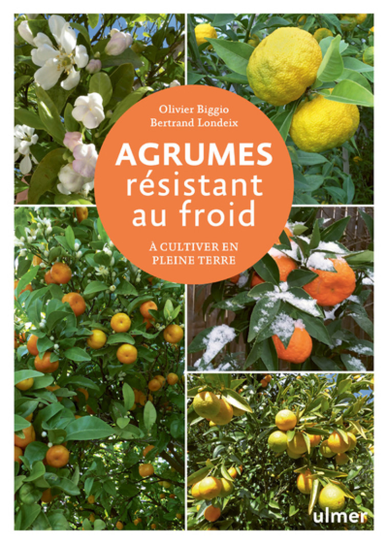 Agrumes résistant au froid - A cultiver en pleine terre - Olivier Biggio, Bertrand Londeix - ULMER