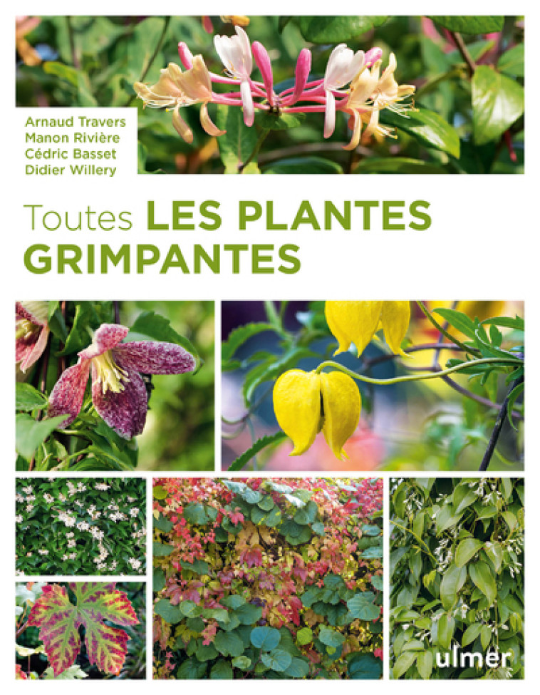 Toutes les plantes grimpantes - Arnaud Travers, Cédric Basset, Manon Basset - ULMER