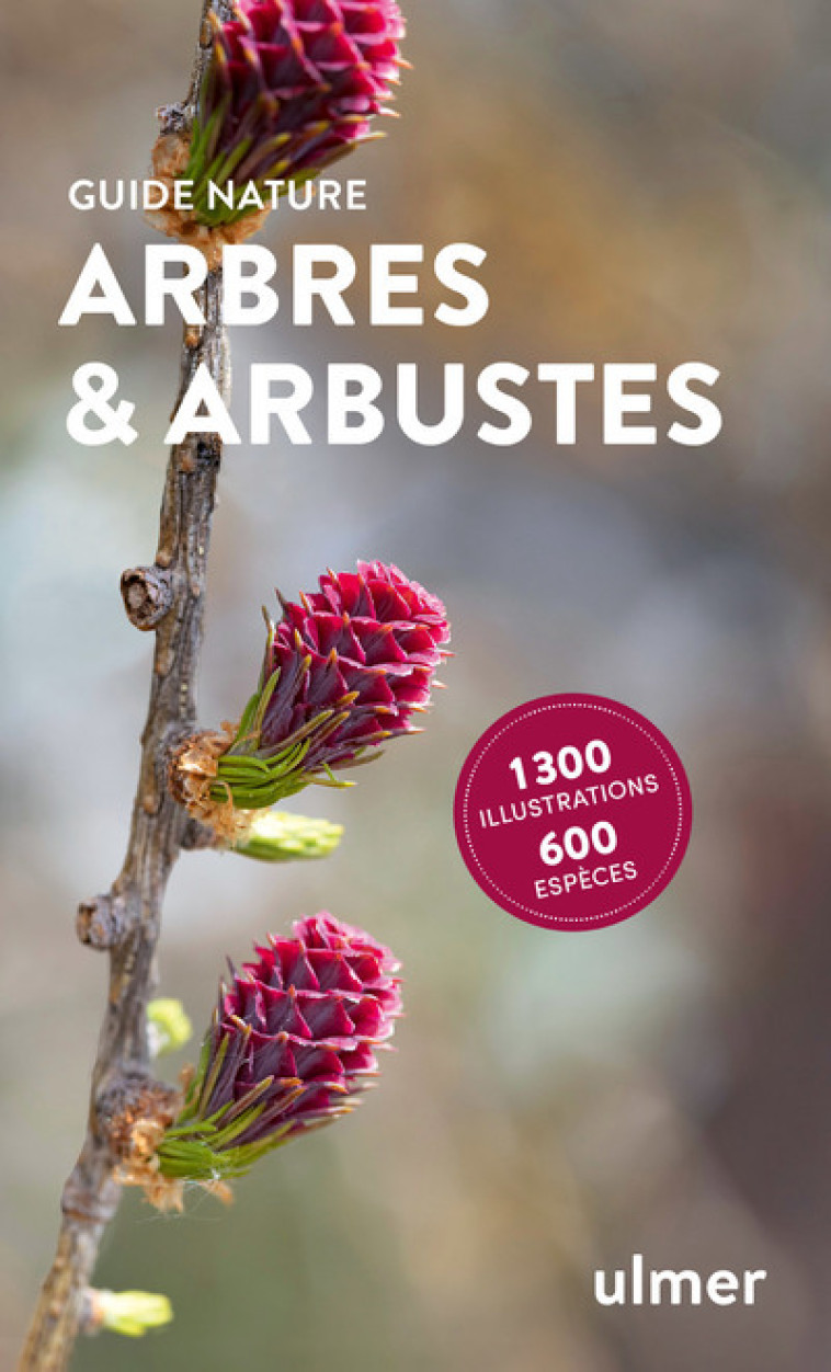 Arbres et arbustes - Bruno P. Kremer, Walter Rosselli - ULMER