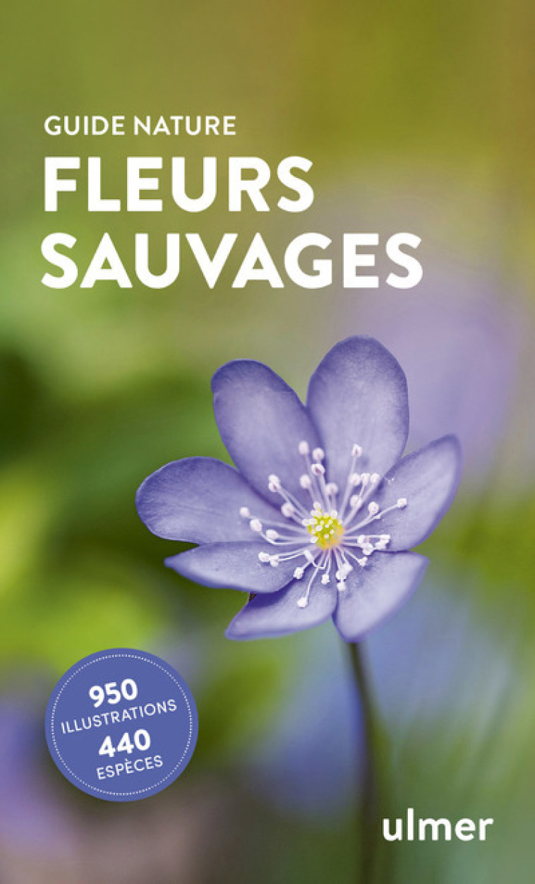 Fleurs sauvages - Bruno P. Kremer, Ilsegret Messerknecht - ULMER