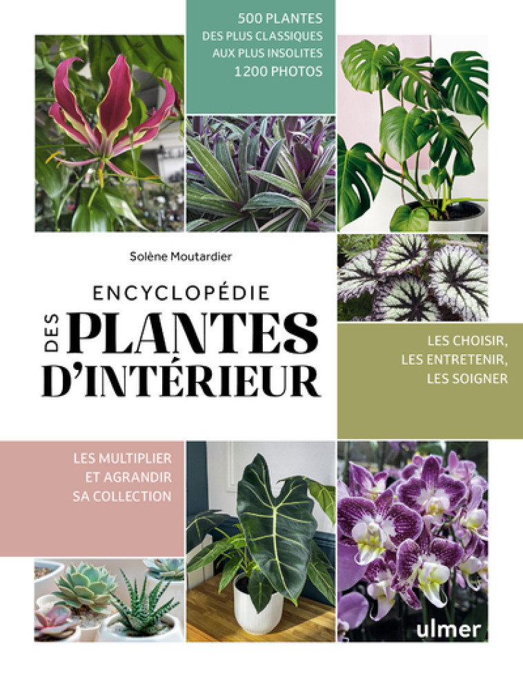 Encyclopédie des plantes d'intérieur - Solène Moutardier - ULMER