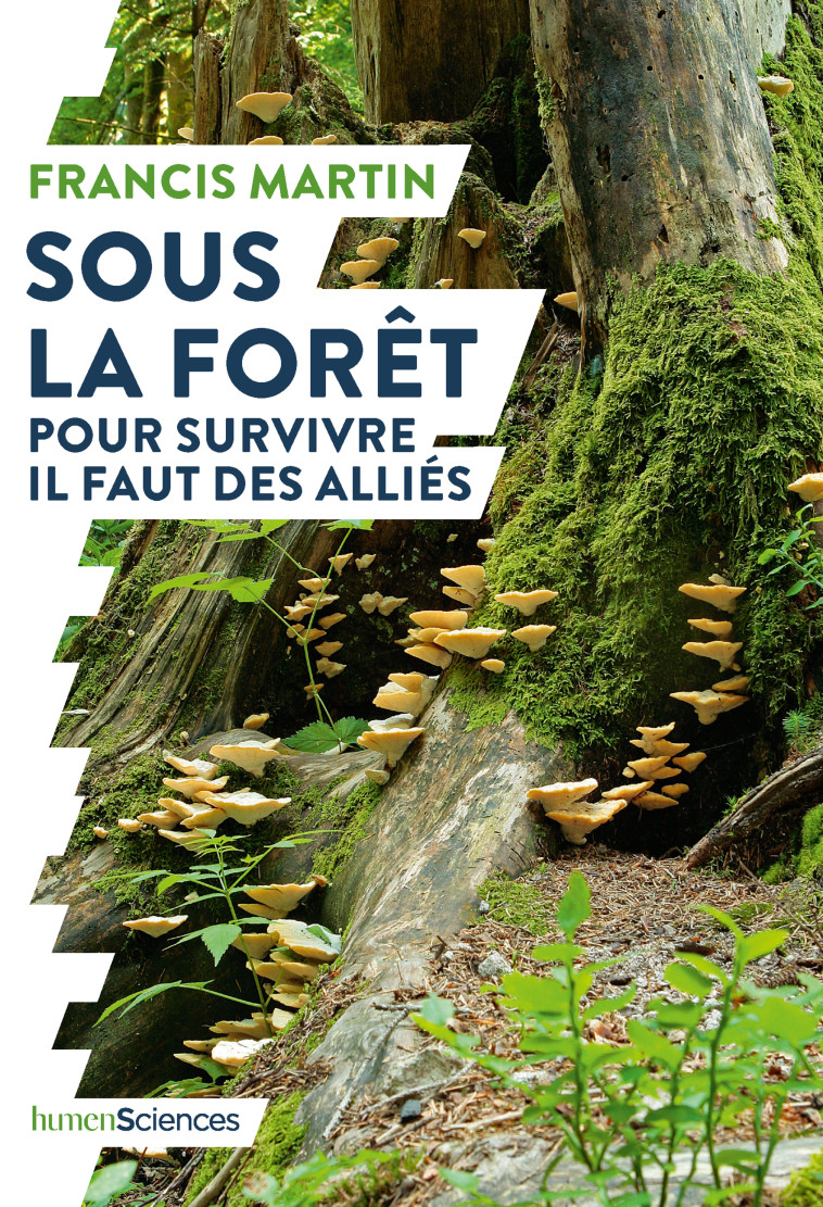 Sous la forêt - Francis MARTIN - HUMENSCIENCES