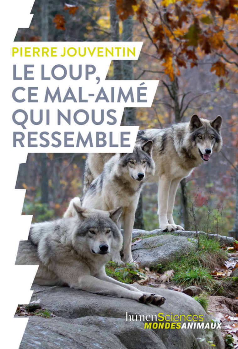 Le loup, ce mal-aimé qui nous ressemble - Pierre Jouventin, Jessica Serra - HUMENSCIENCES