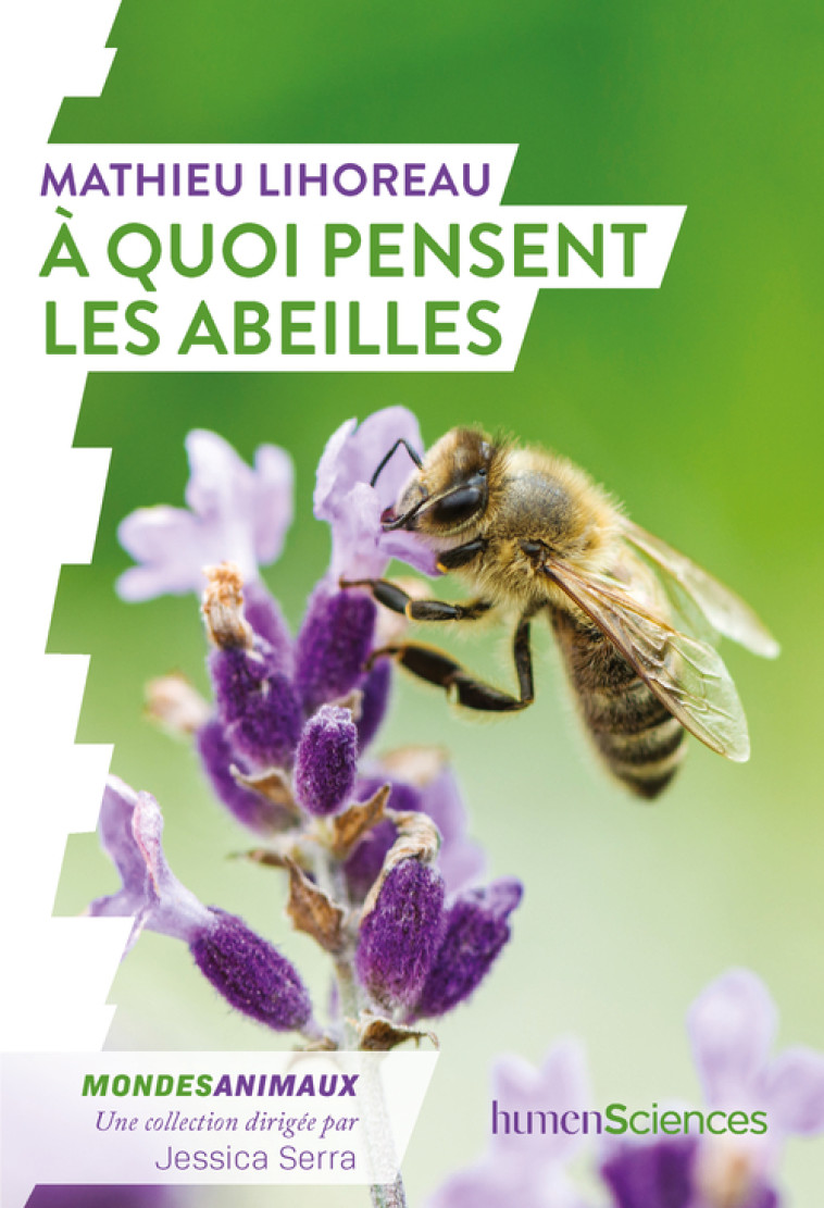 À quoi pensent les abeilles ? - Mathieu LIHOREAU, Jessica Serra - HUMENSCIENCES