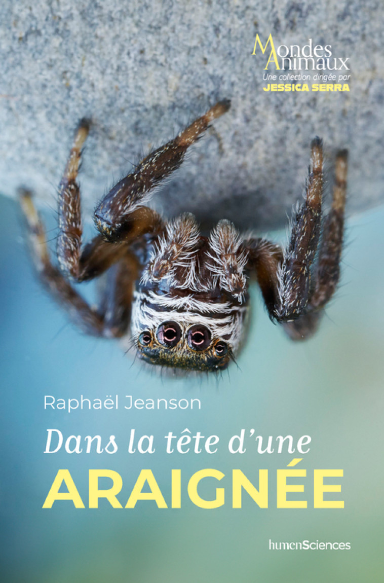 Dans la tête d'une araignée - Raphaël JEANSON, Jessica Serra - HUMENSCIENCES