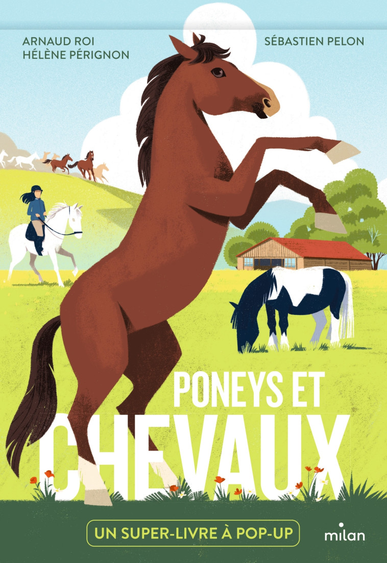 Poneys et chevaux - Hélène Pérignon, Sébastien Pelon, Arnaud Roi - MILAN