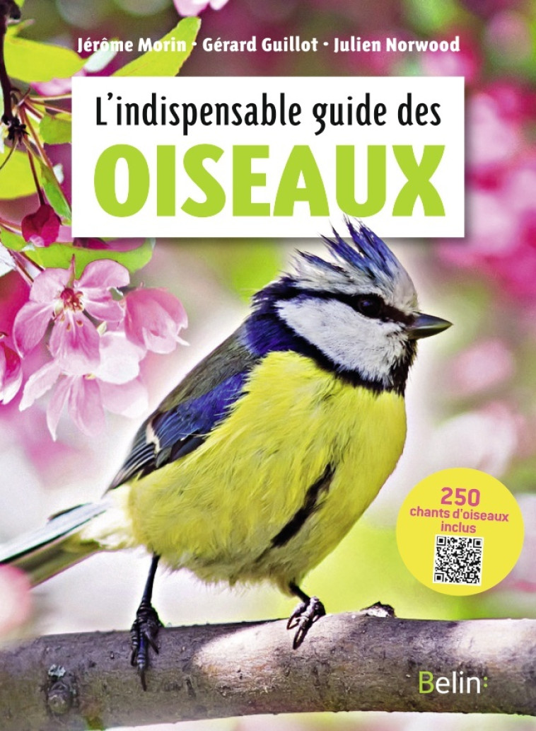 L'indispensable guide des oiseaux - Gérard Guillot, Julien Norwood, Guillaume Eyssartier - BELIN