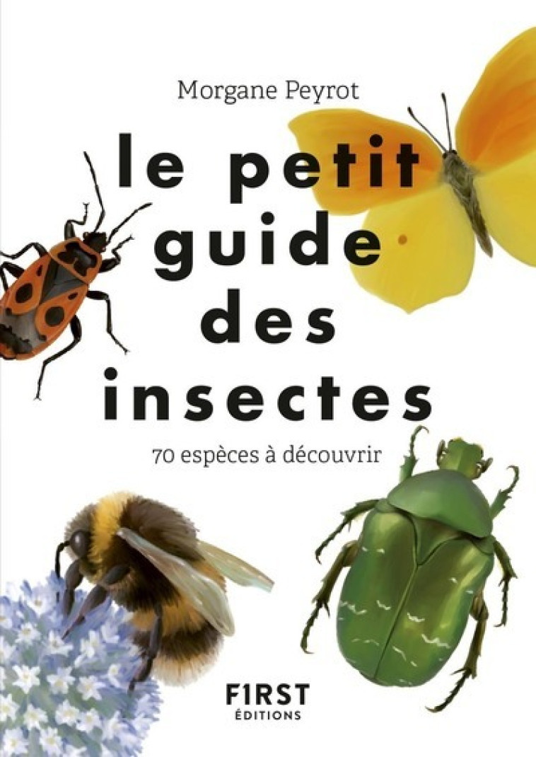 Le Petit guide des insectes - Morgane Peyrot - FIRST