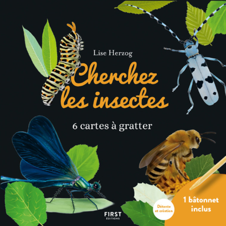 Cartes à gratter - Cherchez les insectes - Collectif Collectif - FIRST