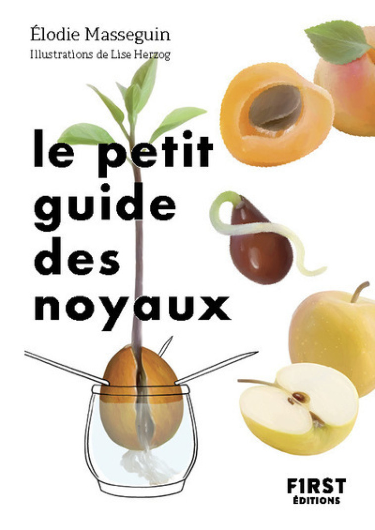 Le Petit Guide des noyaux - Élodie Masseguin, Lise Herzog - FIRST