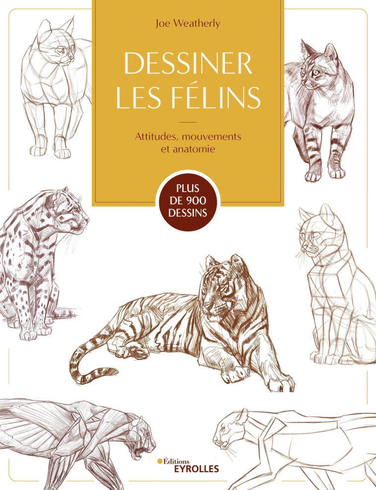 Dessiner les félins - Joe Weatherly - EYROLLES