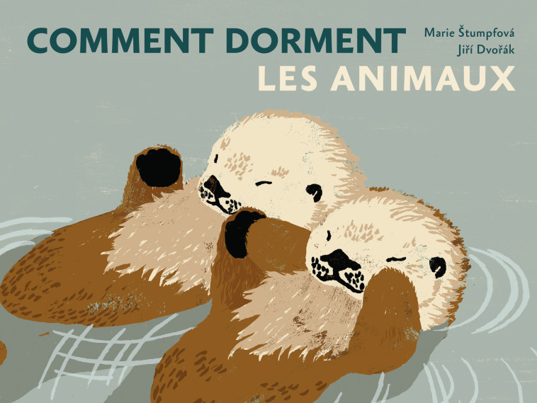 Comment dorment les animaux - Jiri DVORAK, Marie Stumpfova, Anaïs Raimbault - LA PARTIE