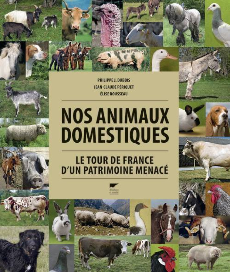 Nos animaux domestiques - Philippe J. Dubois, Jean-Claude Périquet, Élise Rousseau - DELACHAUX