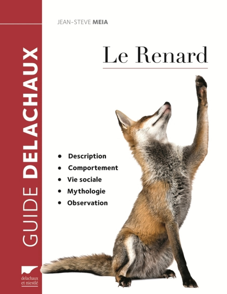 Le Renard - Jean-Steve Meia - DELACHAUX