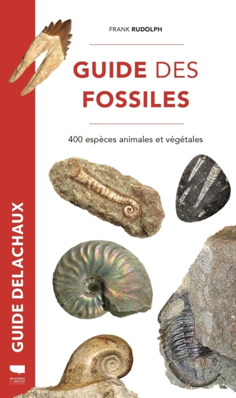 Guide des fossiles - Frank Rudolph - DELACHAUX