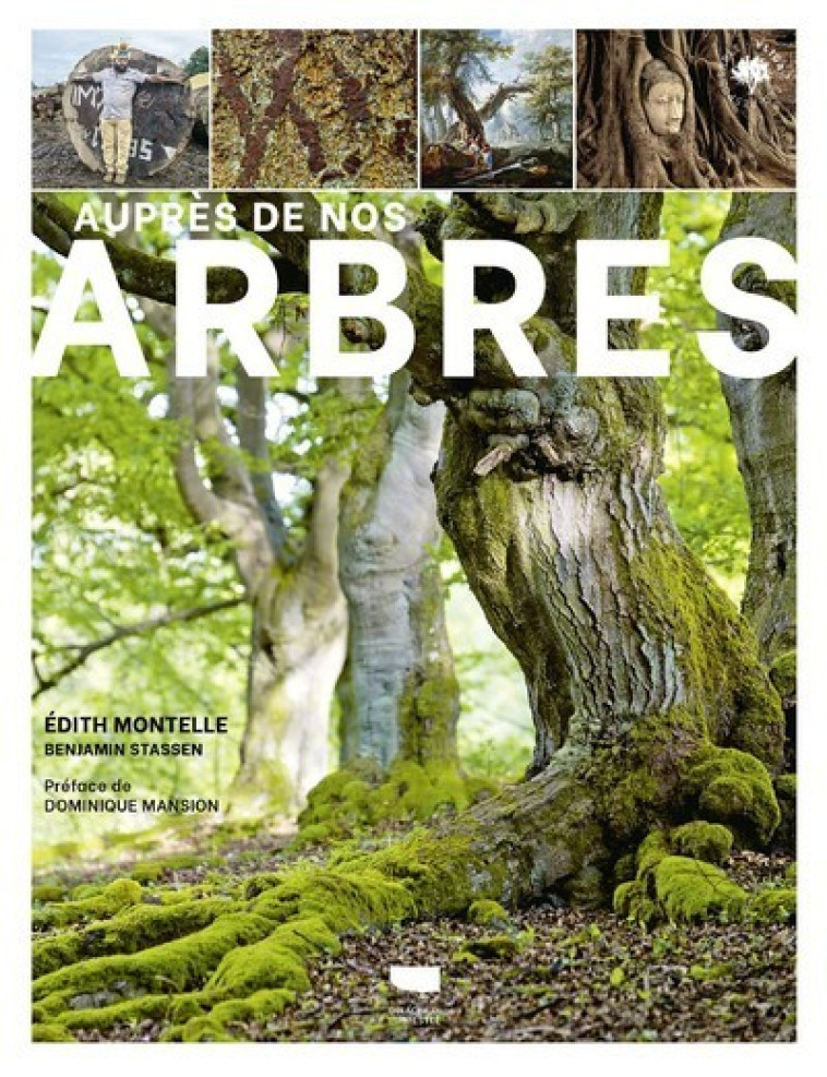 Auprès de nos arbres - Édith MONTELLE, ASBL Le Marronnier ASBL Le Marronnier,  ASBL Le Marronnier - DELACHAUX