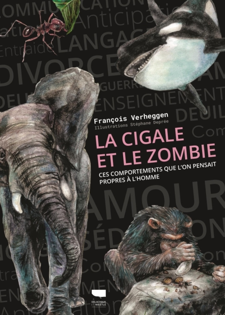 La Cigale et le zombie - François Verheggen, Stéphane Deprée - DELACHAUX