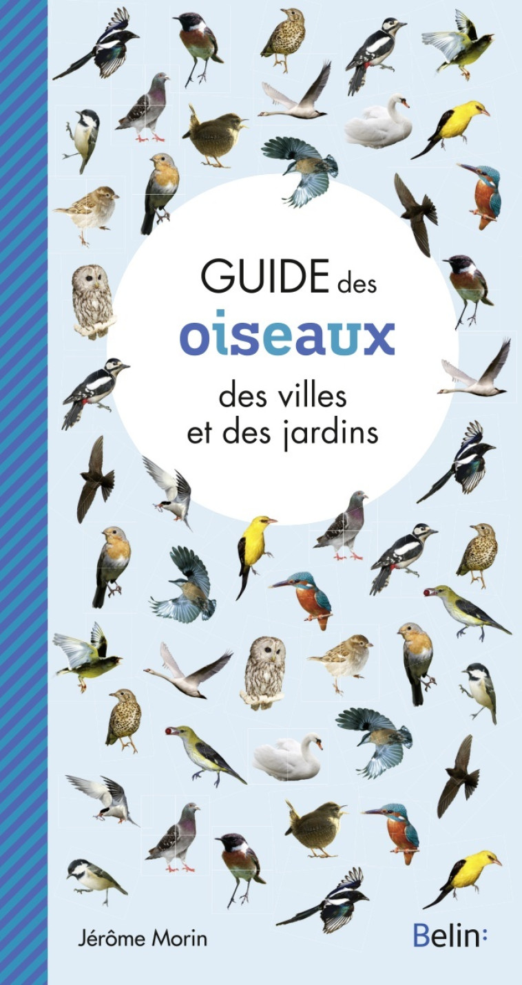 Guide des oiseaux des villes et des jardins - Guillaume Eyssartier - BELIN