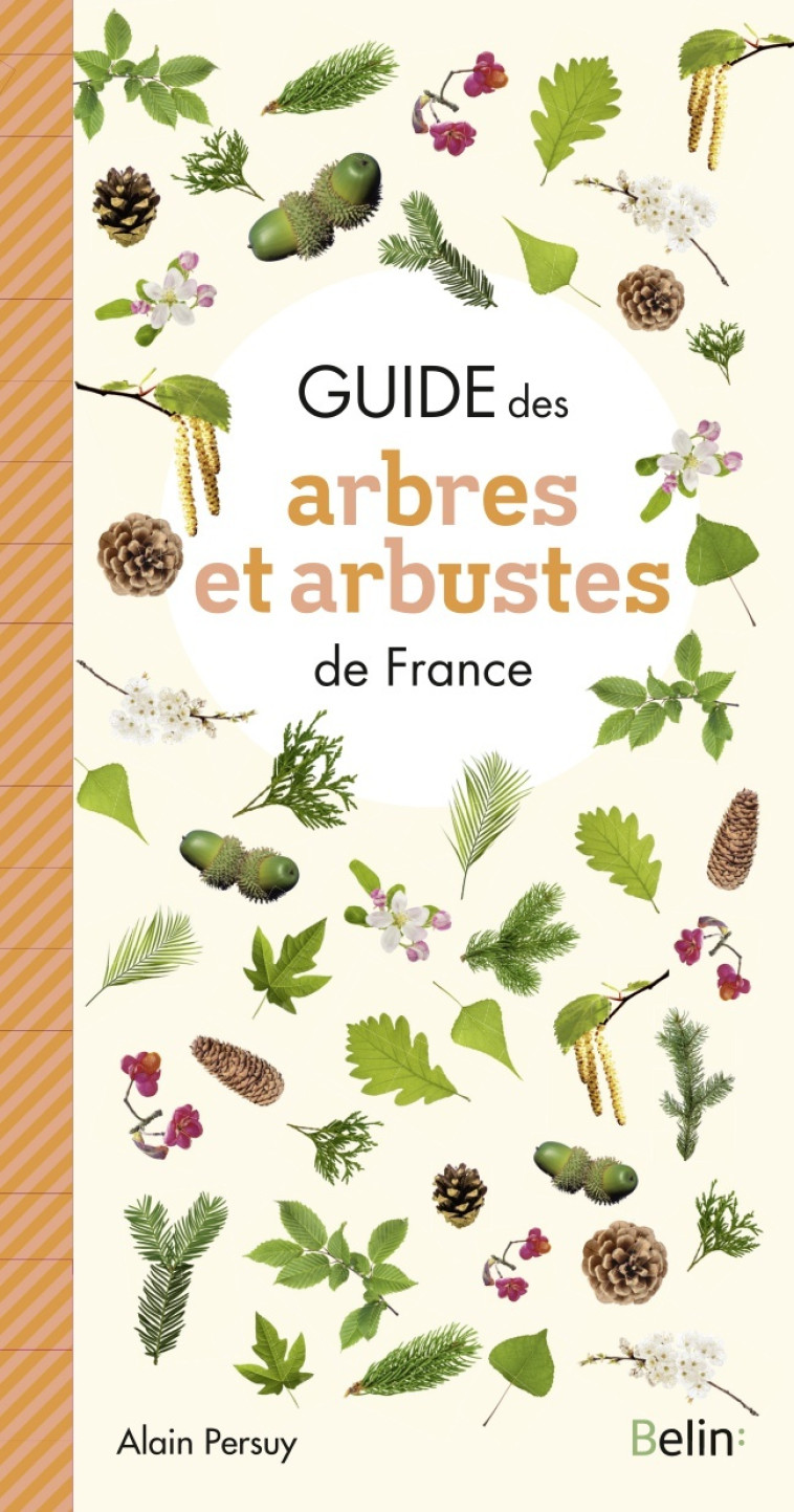 Guide des Arbres et Arbustes de France - Alain Persuy - BELIN