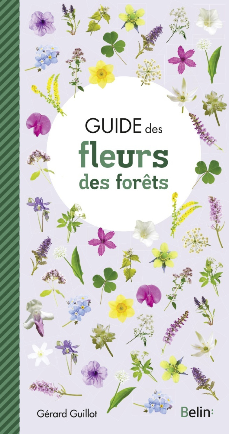 Guide des fleurs des forêts - Gérard Guillot, Guillaume Eyssartier - BELIN