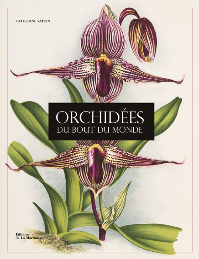 Orchidées du bout du monde - Catherine Vadon - MARTINIERE BL