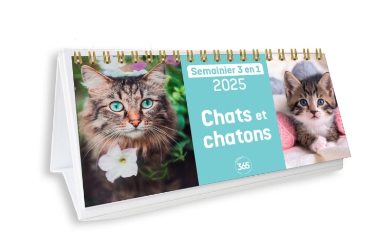 Calendrier semainier 2025 Chats et chatons - XXX - 365 PARIS